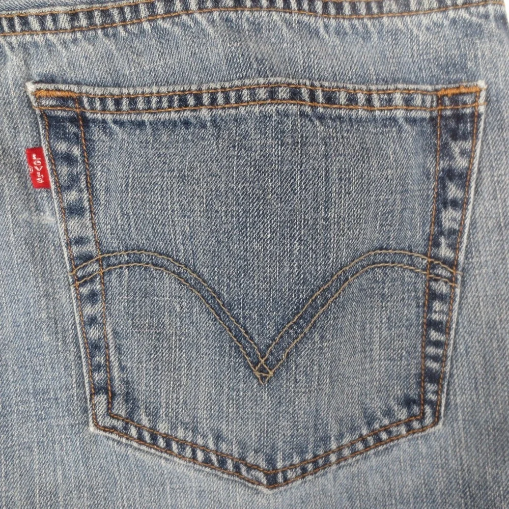 Levis levis 559